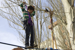 Rescatando los Tótems de la Manada