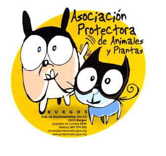 protec logo